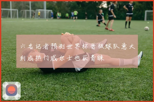 六名记者预测世界杯晋级球队意大利成热门威尔士也获青睐