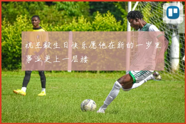 祝王毅生日快乐愿他在新的一岁里事业更上一层楼