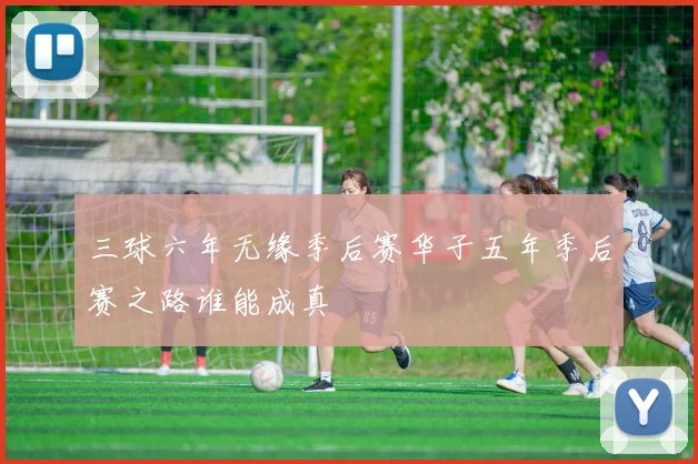 三球六年无缘季后赛华子五年季后赛之路谁能成真